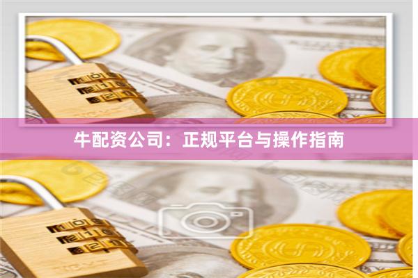 牛配资公司：正规平台与操作指南