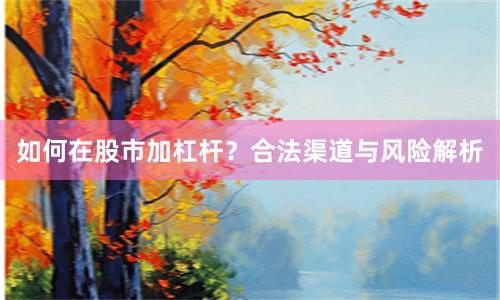 如何在股市加杠杆？合法渠道与风险解析