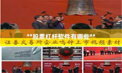 **股票杠杆软件有哪些**